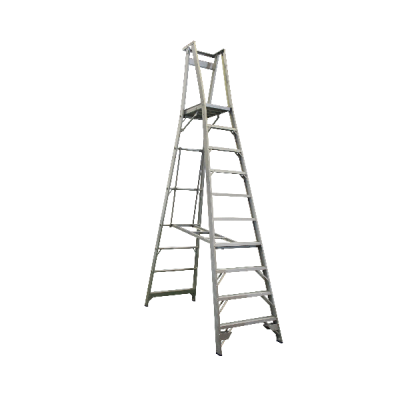 Pro Series Platform Ladder 3.9M