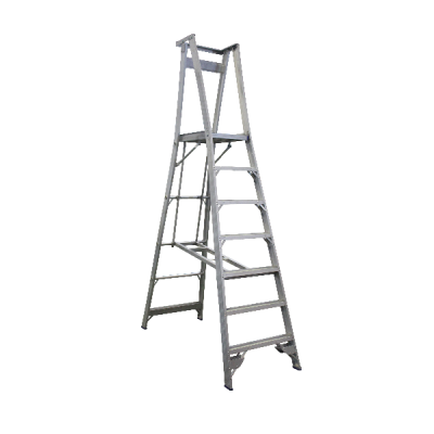 Pro Series Platform Ladder 3.0M