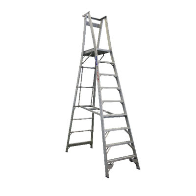 Pro Series Platform Ladder 3.7M