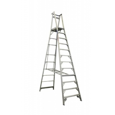 Pro Series Platform Ladder 4.5M