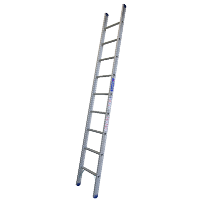 Pro Series Single Sided 3.0M Ladder