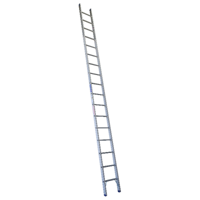 Pro Series Single Sided 6.1M Ladder